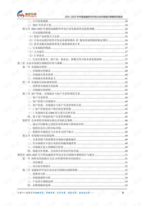 中國金融軟件外包行業市場細分策略研究（2021-2025）